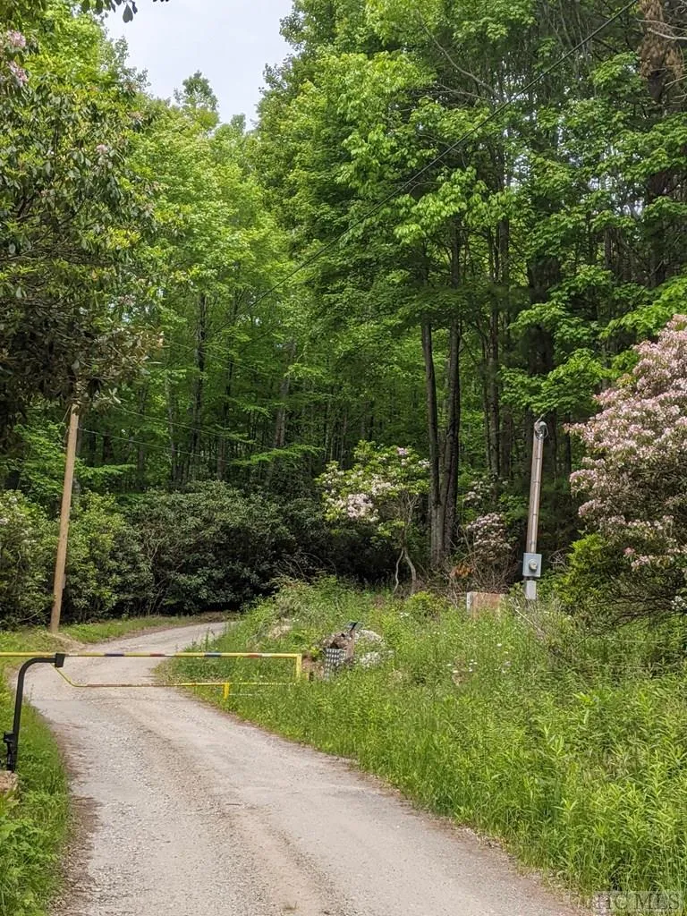 17010 Buck Knob Road Cullowhee, NC 28723