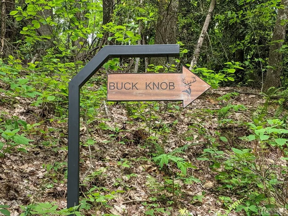 17010 Buck Knob Road Cullowhee, NC 28723