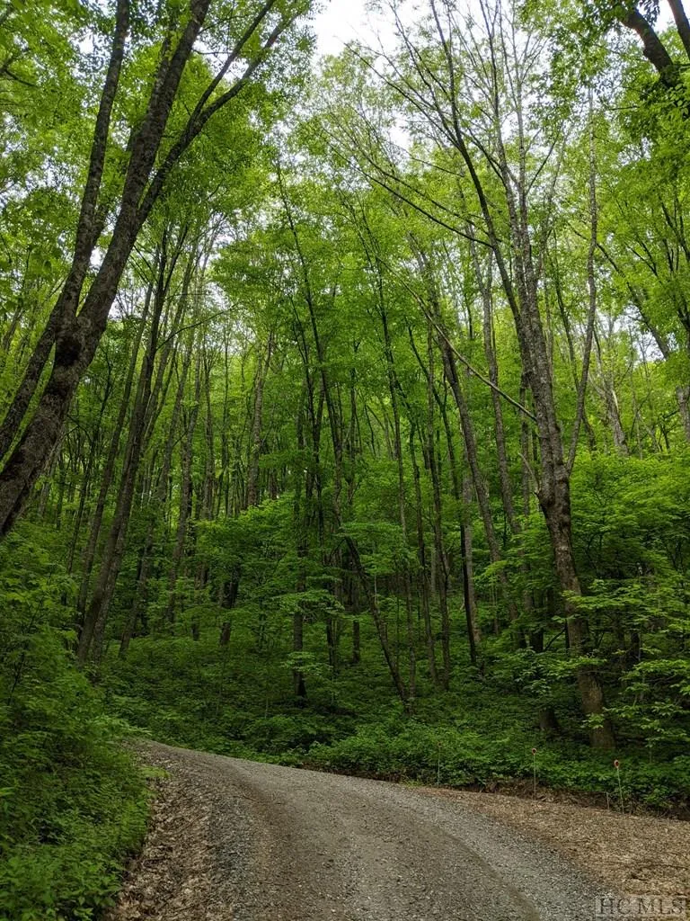 17010 Buck Knob Road Cullowhee, NC 28723