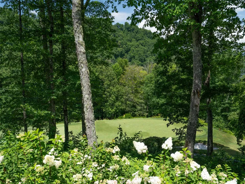1839 Grandview Drive Tuckasegee, NC 28783