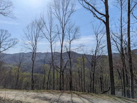 68 Parachute Ridge
