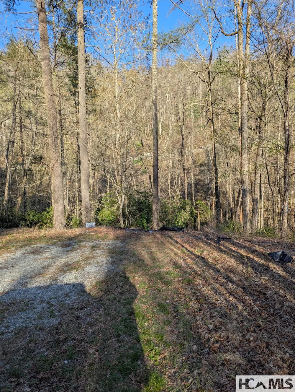 TBD W Fork Bend Cullowhee, NC 28723