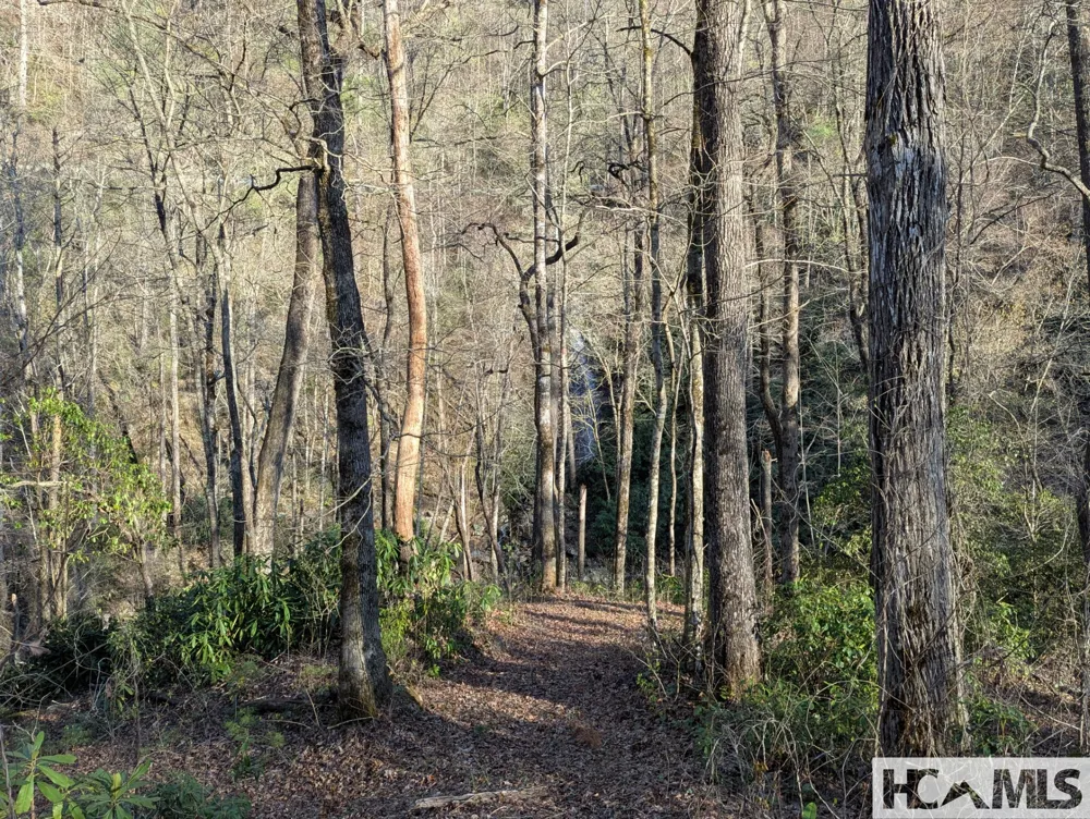 TBD W Fork Bend Cullowhee, NC 28723