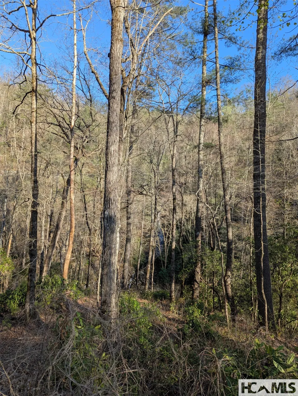 TBD W Fork Bend Cullowhee, NC 28723