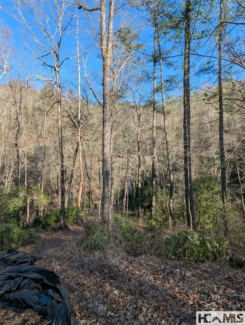 TBD W Fork Bend Cullowhee, NC 28723