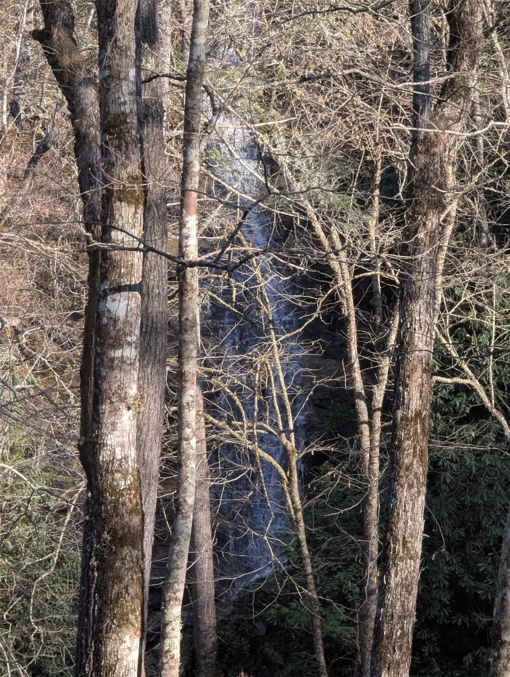 TBD W Fork Bend Cullowhee, NC 28723