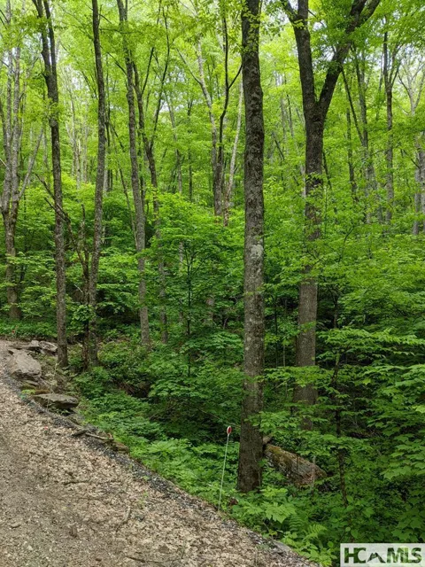 0 Buck Knob Road