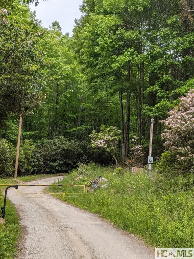0 Buck Knob Road Cullowhee, NC 28723