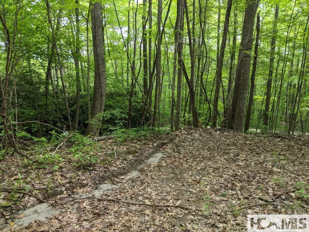 0 Buck Knob Road Cullowhee, NC 28723