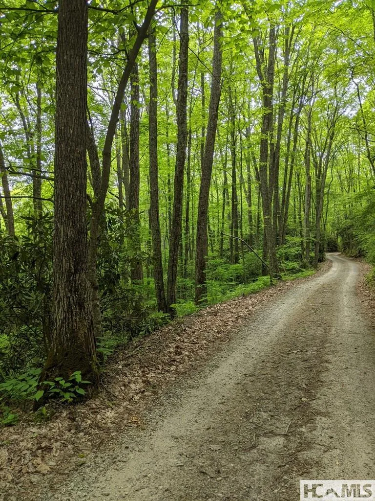 0 Buck Knob Road Cullowhee, NC 28723