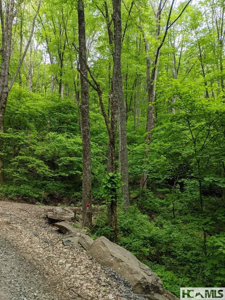 0 Buck Knob Road Cullowhee, NC 28723