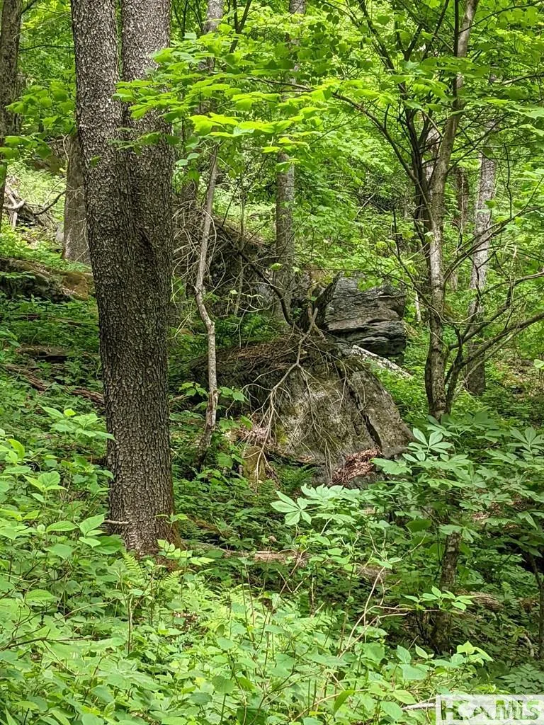 0 Buck Knob Road Cullowhee, NC 28723