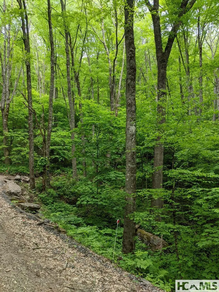 0 Buck Knob Road Cullowhee, NC 28723