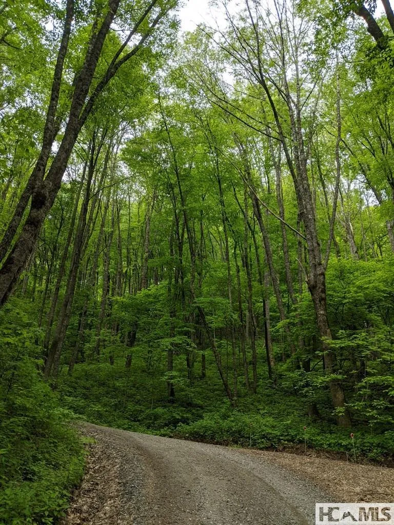 0 Buck Knob Road Cullowhee, NC 28723