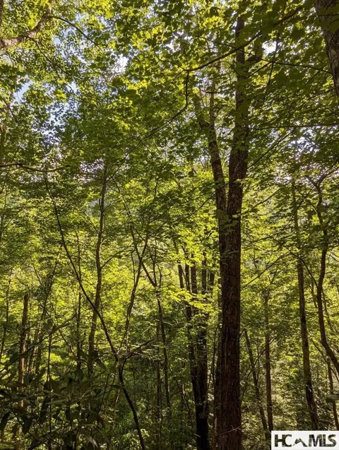 Lot 24 Pilot Knob Road