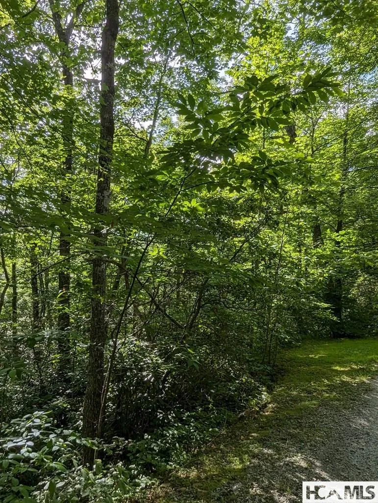 Lot 24 Pilot Knob Road Glenville, NC 28736
