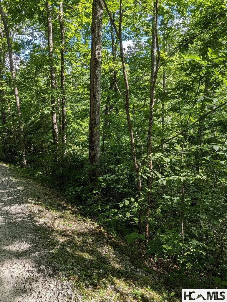 Lot 24 Pilot Knob Road Glenville, NC 28736