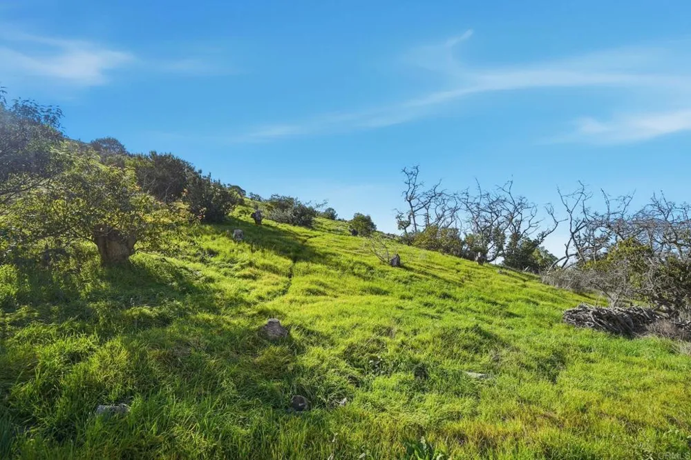 1790 La Plaza Drive San Marcos, CA 92078