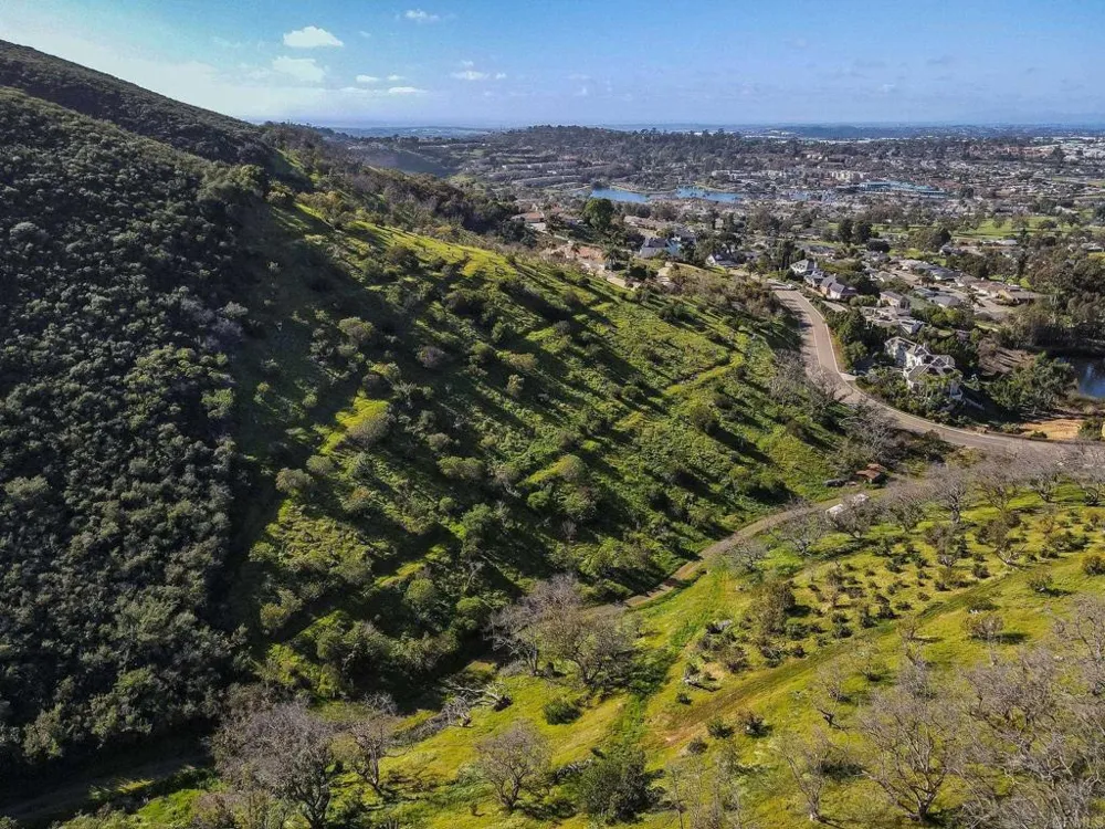 1790 La Plaza Drive San Marcos, CA 92078