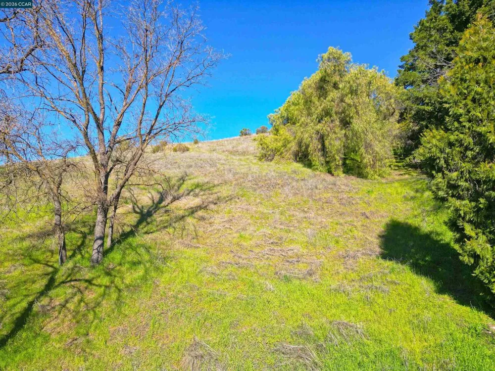 2590 Caballo Ranchero Dr Diablo, CA 94528