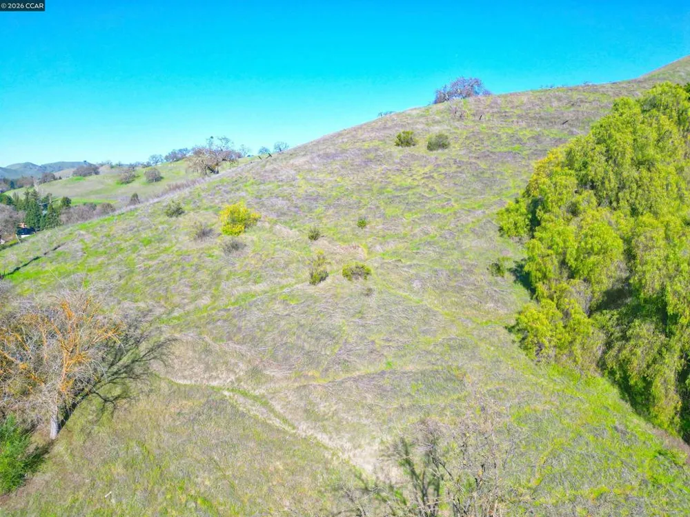 2590 Caballo Ranchero Dr Diablo, CA 94528