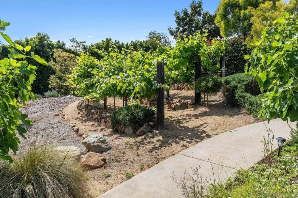 6565 Calle Reina Rancho Santa Fe, CA 92067