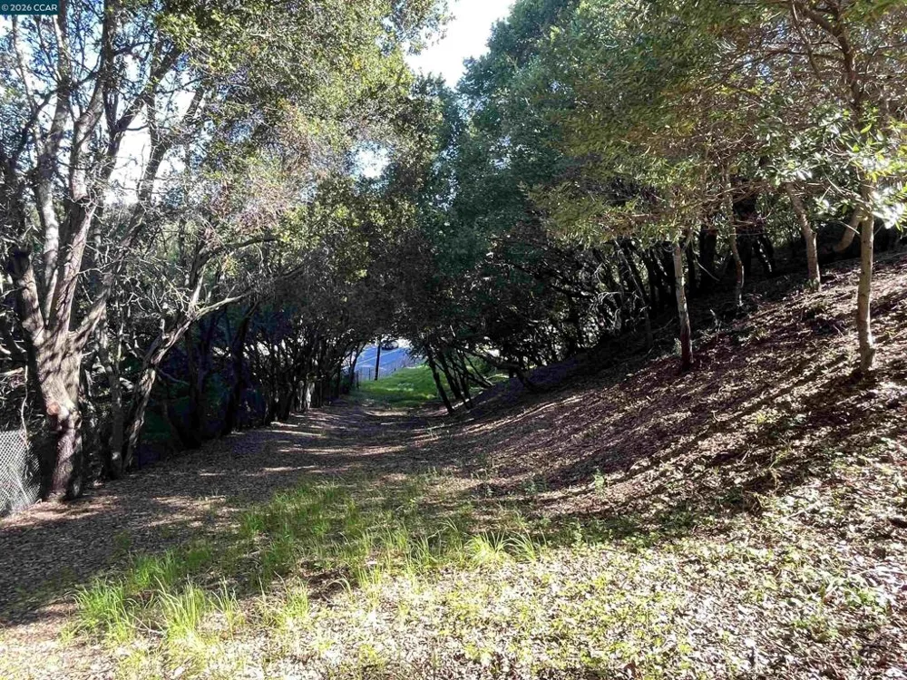 6 Brookwood Orinda, CA 94563