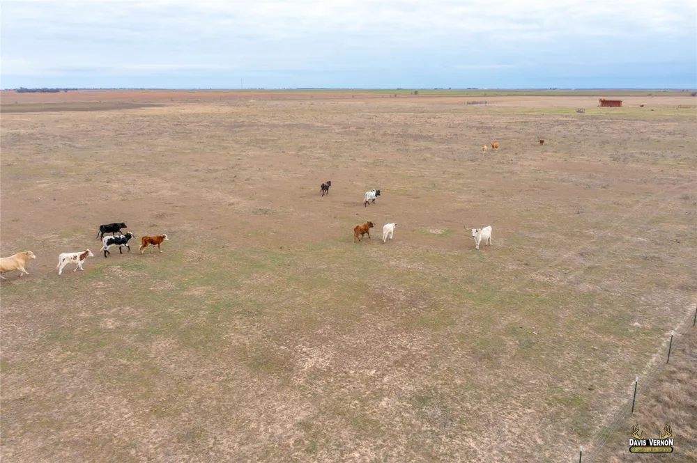 CR 4354 Munday, TX 76371
