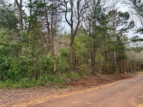 4451 County Road 3206 W