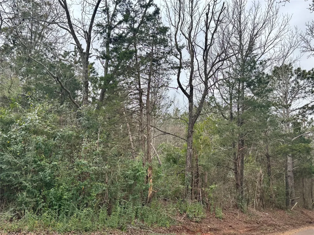 4451 County Road 3206 W Mount Enterprise, TX 75681