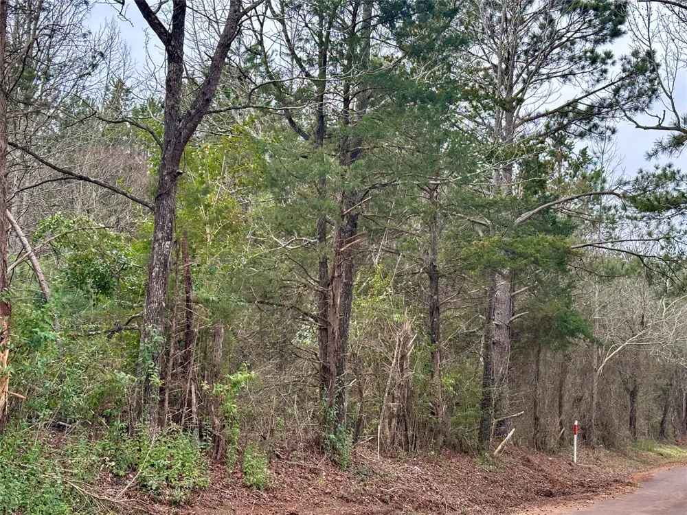 4451 County Road 3206 W Mount Enterprise, TX 75681