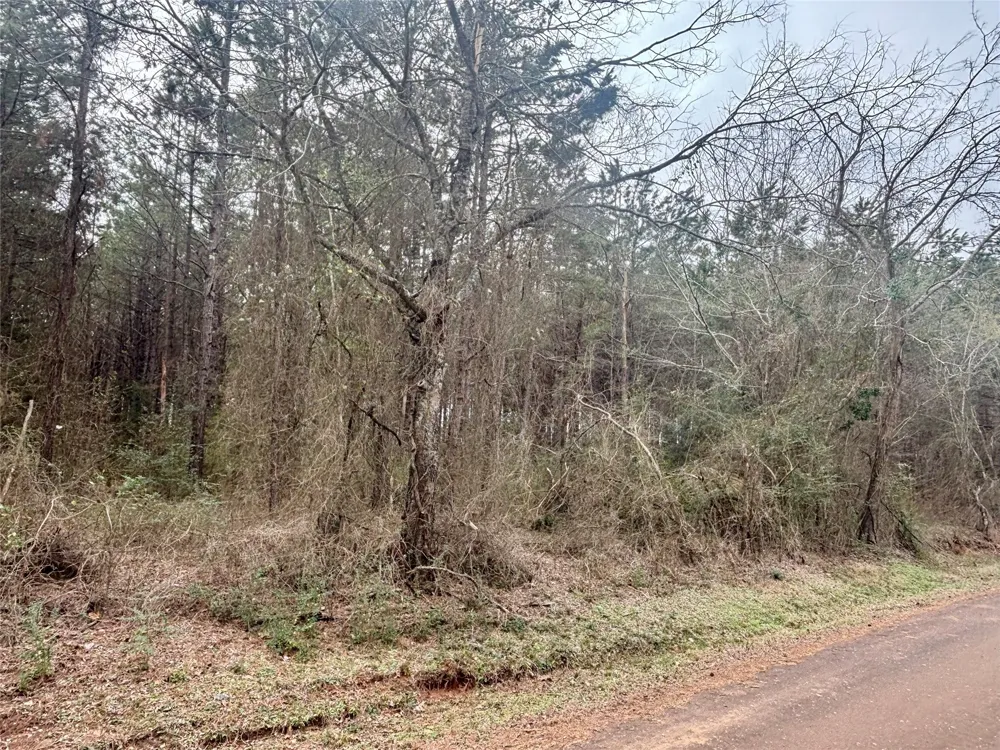 4451 County Road 3206 W Mount Enterprise, TX 75681