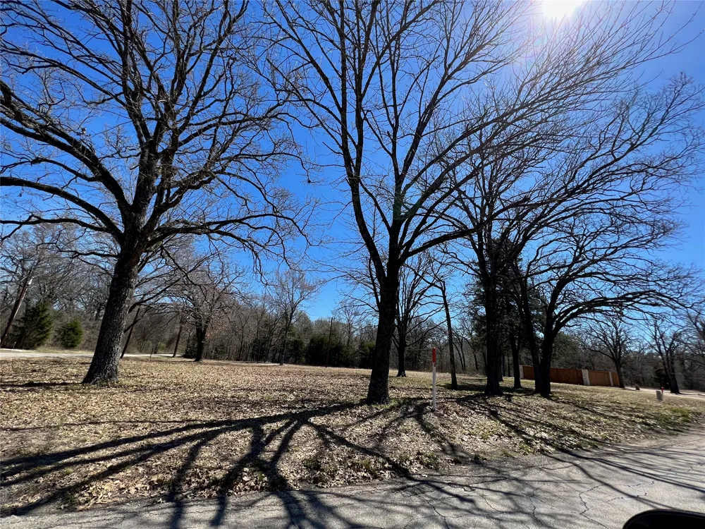 Beachwood Drive Trinidad, TX 75163