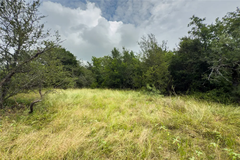 County Road 173 Marlin, TX 76661