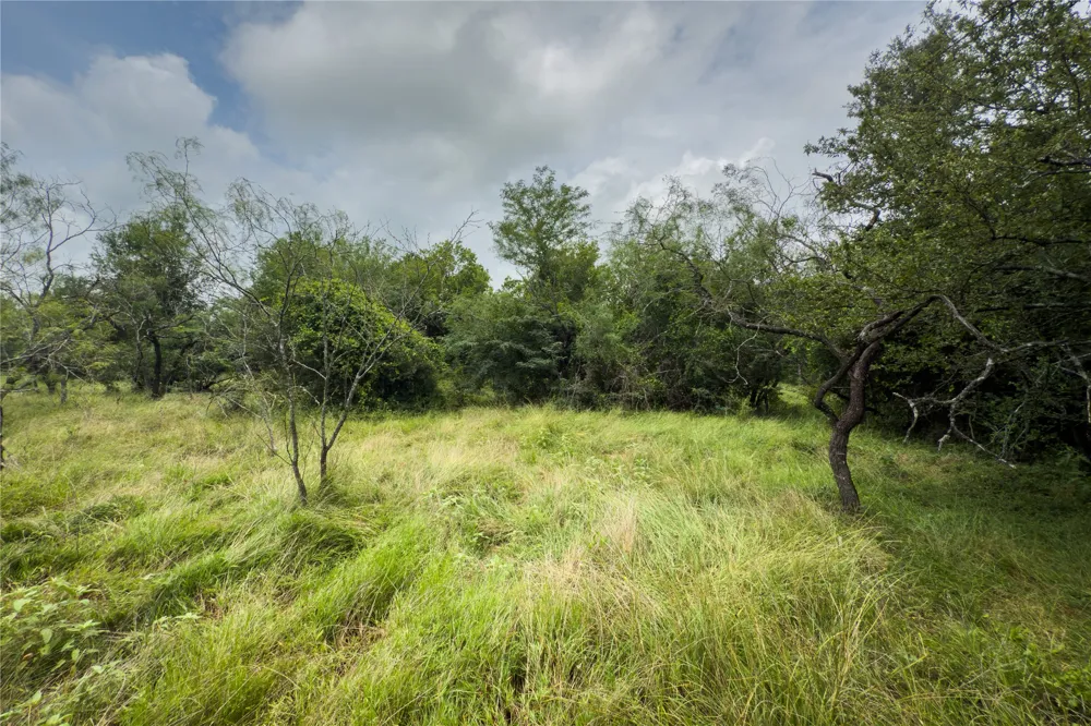 County Road 173 Marlin, TX 76661