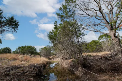 Burnet Oaks Lot 20 Drive