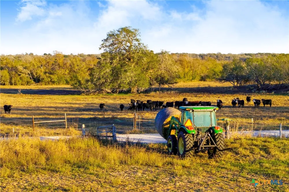 10.86 Acres Tract 4 Village Lane Seguin, TX 78155