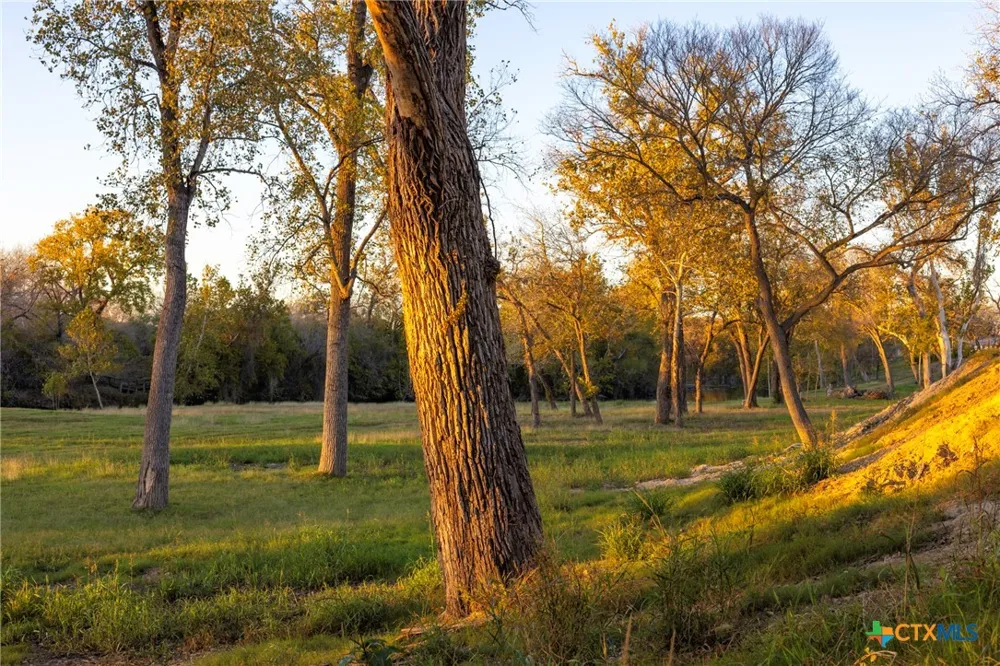 10.86 Acres Tract 4 Village Lane Seguin, TX 78155