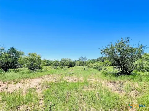 1349 County Road 152