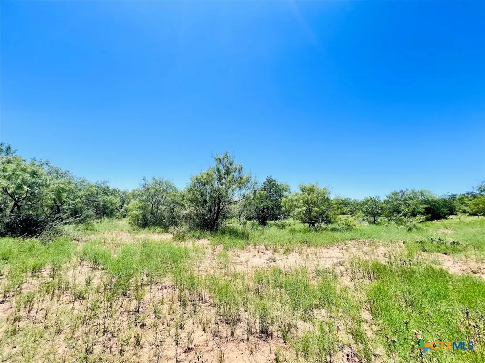 1349 County Road 152 Brownwood, TX 76801