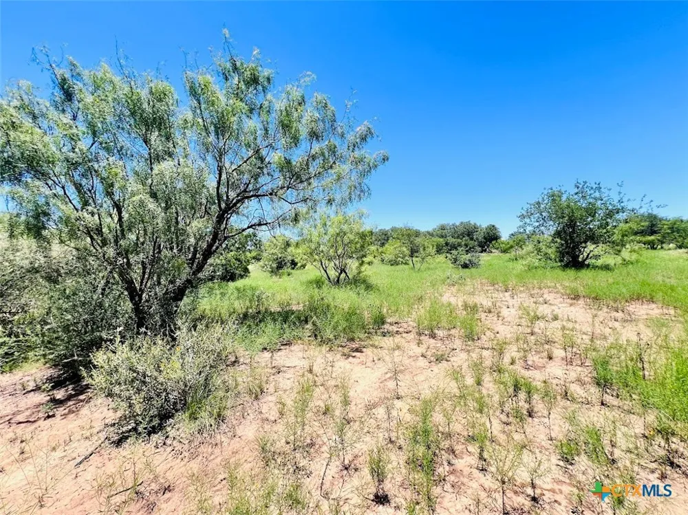 1349 County Road 152 Brownwood, TX 76801