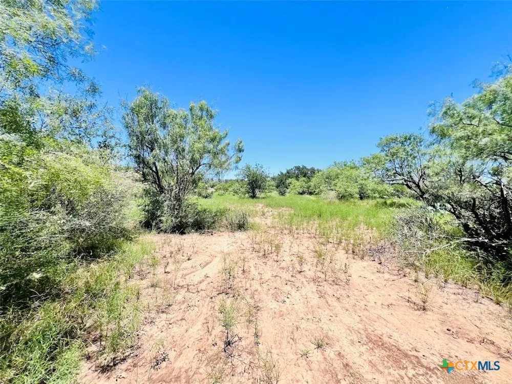 1349 County Road 152 Brownwood, TX 76801