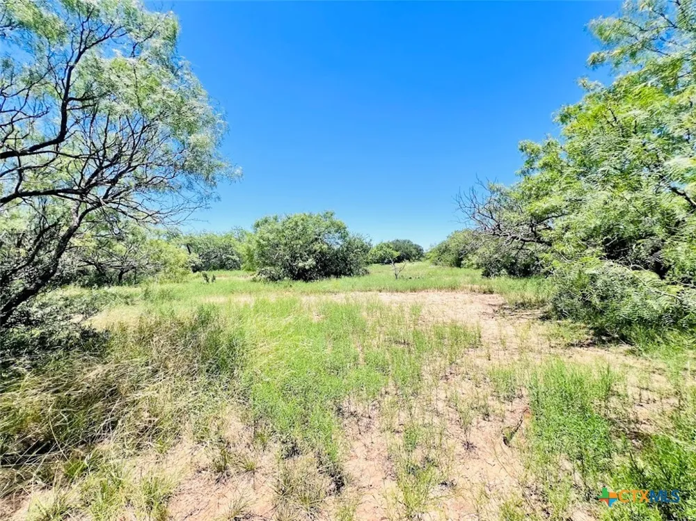 1349 County Road 152 Brownwood, TX 76801