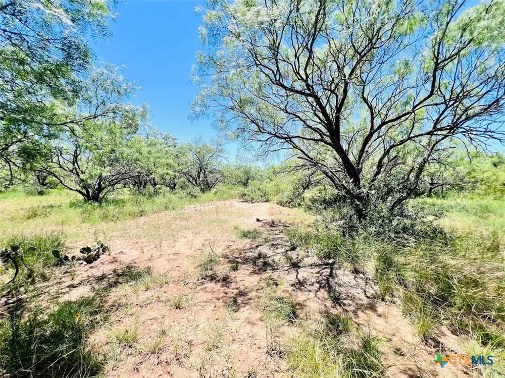 1349 County Road 152 Brownwood, TX 76801