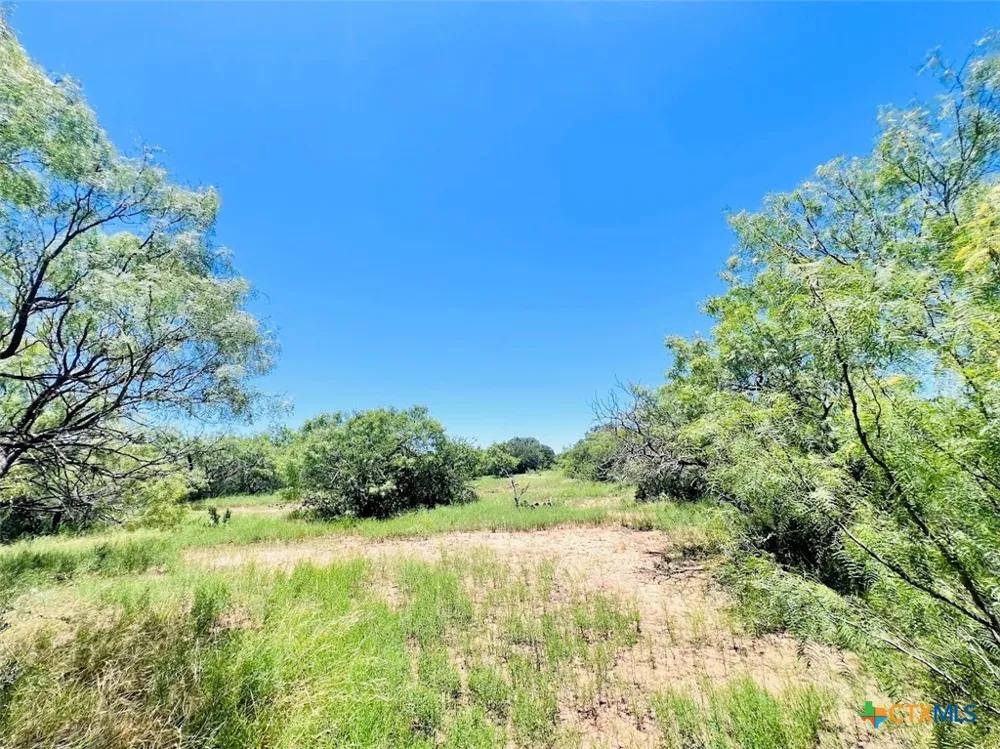 1349 County Road 152 Brownwood, TX 76801