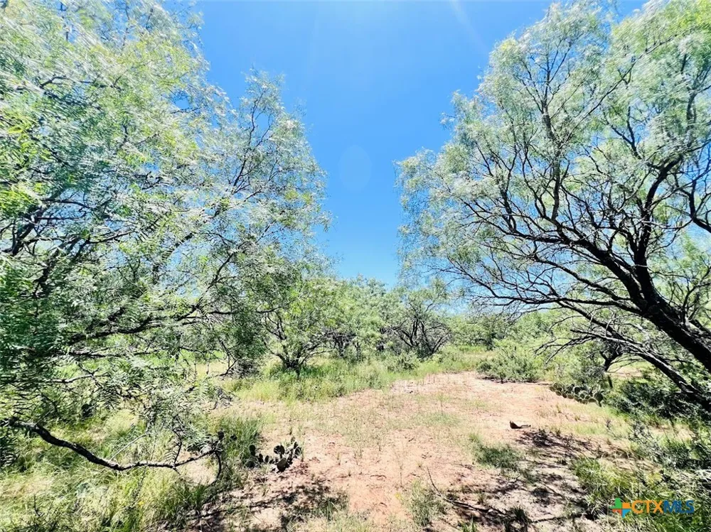1349 County Road 152 Brownwood, TX 76801