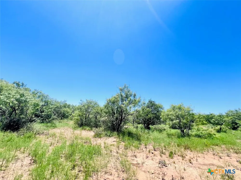 1349 County Road 152 Brownwood, TX 76801