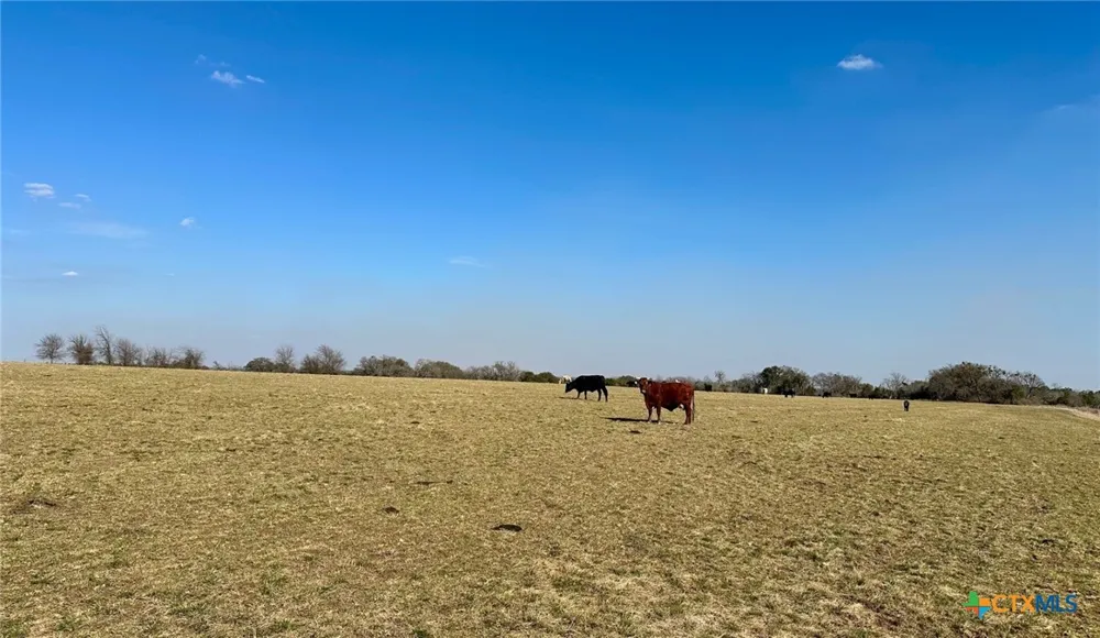 1950 County Road 299 Gatesville, TX 76528