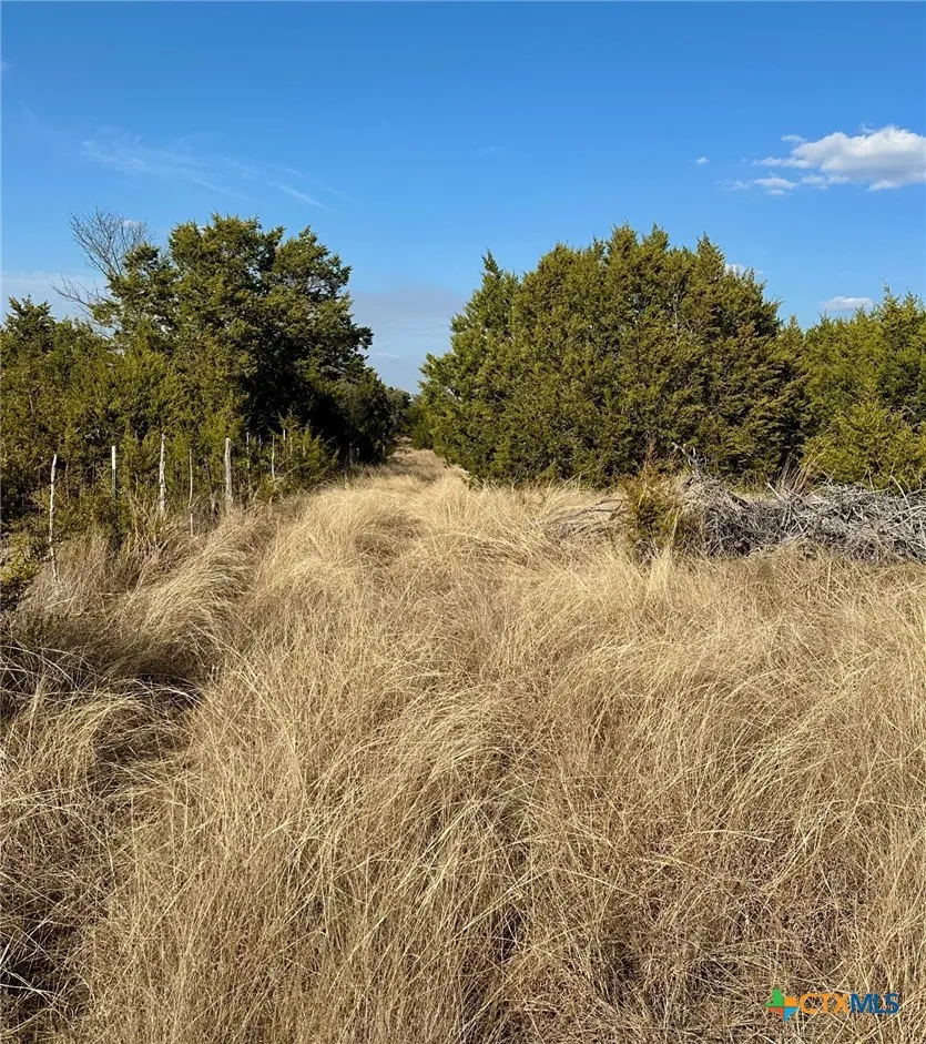 1950 County Road 299 Gatesville, TX 76528