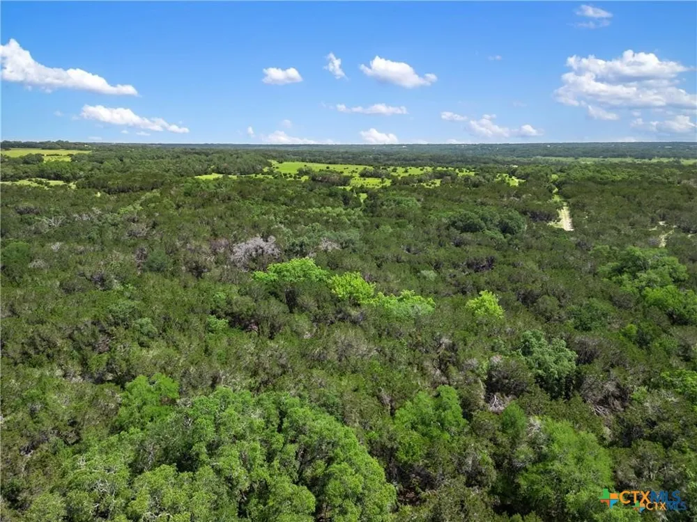 24300 Cisco Trail Leander, TX 78641